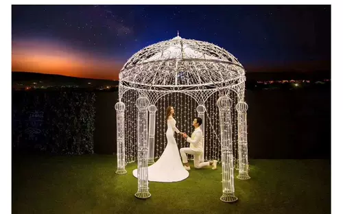 Свадебная планировка декоративная реквизита на открытом воздухе шесть столбов Свадебная сцена