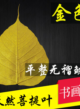 菩提叶脉树叶天然上胶写字彩绘书画画印刷diy装饰艺术标本
