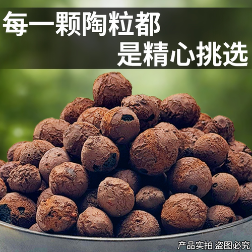 轻质陶粒养花专用多肉铺面花盆垫底水培透气防烂根陶粒回填卫生间 - 图0