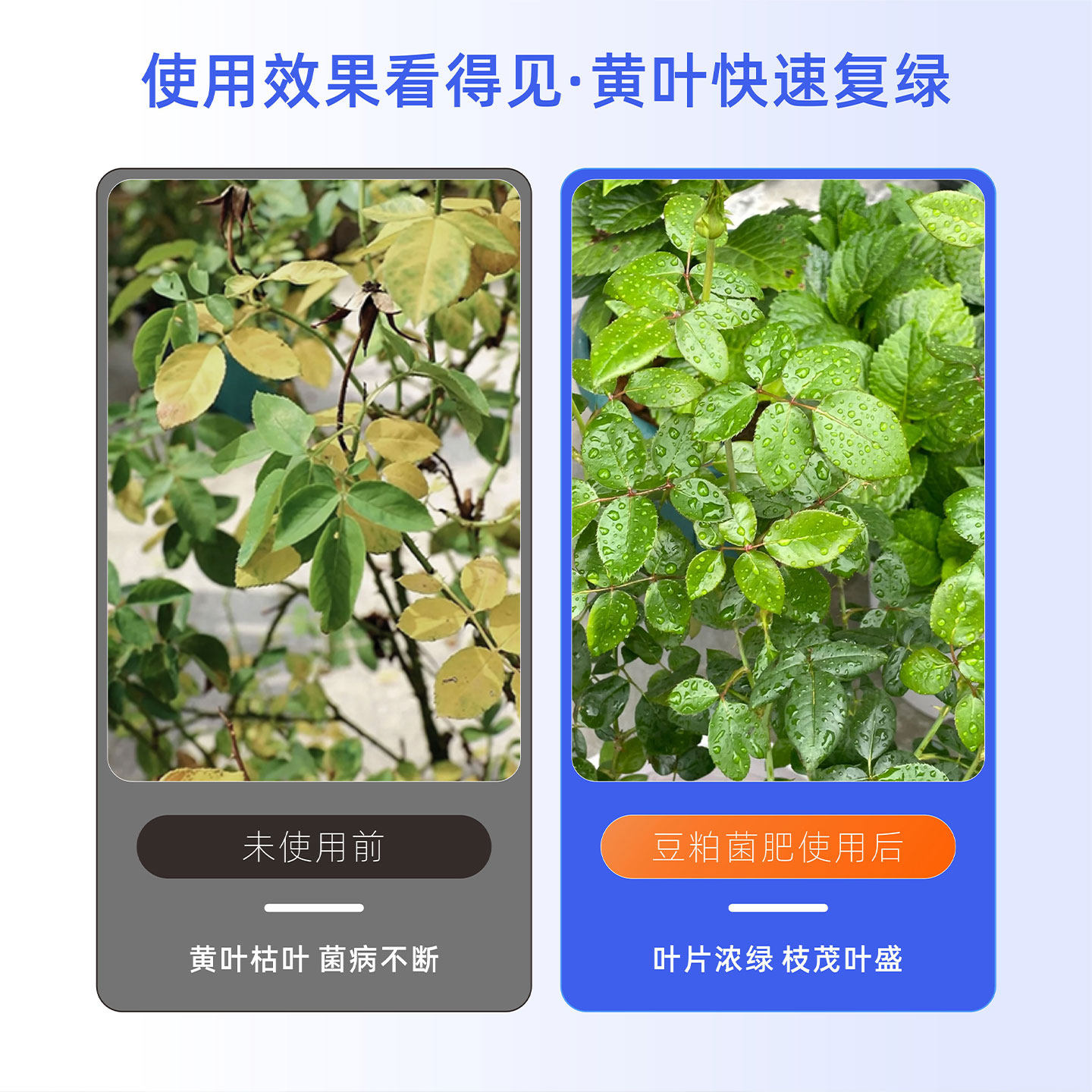 豆粕发酵有机肥盆栽花卉家用园艺肥料高温发酵天然有机种菜颗粒肥,淘宝优惠券,粉丝福利购,淘宝优惠卷