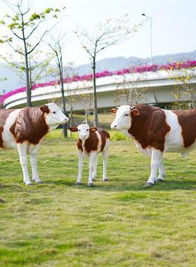 仿真安格斯黑牛模型大型玻璃钢牛雕塑餐厅牧场装饰西门塔尔牛摆件