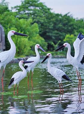 仿真白鹳雕塑水池塘庭院装饰户外仙鹤摆件玻璃钢园林景观白鹭模型