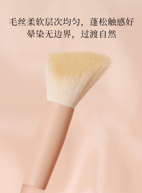 粉刷匠F04鲨鱼齿修容刷
