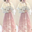 Designer's gift original tulip Hanfu Chinese style improved Han elements new Chinese style horse face skirt autumn and winter suit