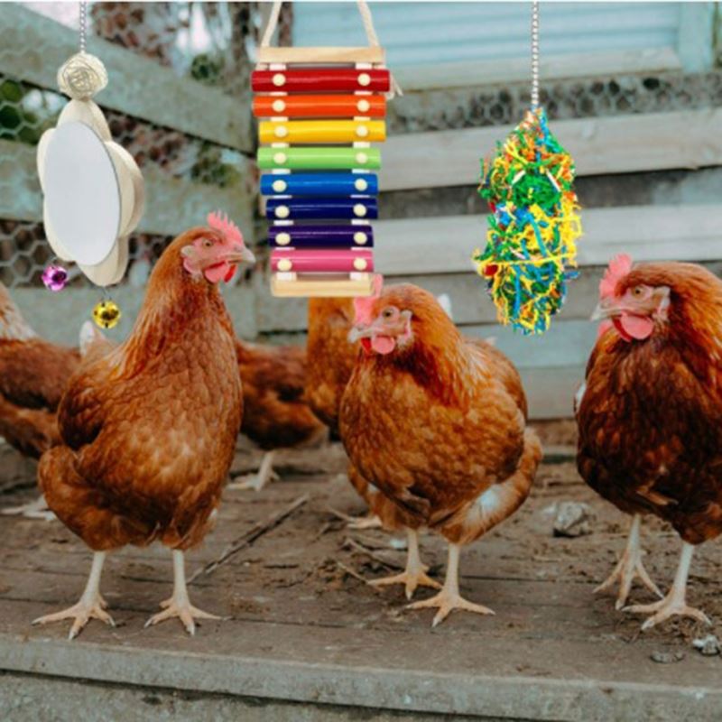 Chicken Xylophone Toy with 8 Metal Keys Chicken Mirror Toy w - 图0