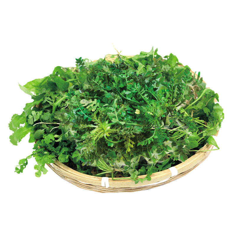 苏北农家蔬菜现挖野生香荠荠菜地丁野菜新鲜春卷馄饨饺包子馅商用,淘宝优惠券,粉丝福利购,淘宝优惠卷