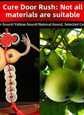 天然开口葫芦挂件八卦太极五帝钱大门对门客厅家用龙头吉祥中国结