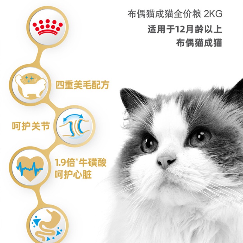 皇家猫粮布偶专用粮RA32猫主粮2kg营养增肥发腮长毛猫专用粮10kg - 图2