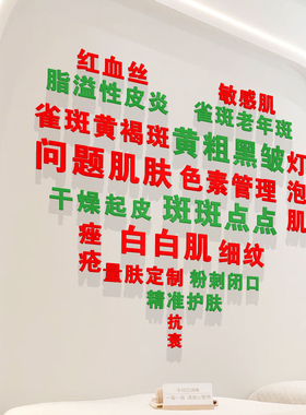 美容院皮肤管理问题肌形象背景墙