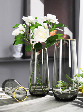 轻奢描金北欧圆筒型简约玻璃花瓶透明水养鲜花客厅花器插花瓶摆件