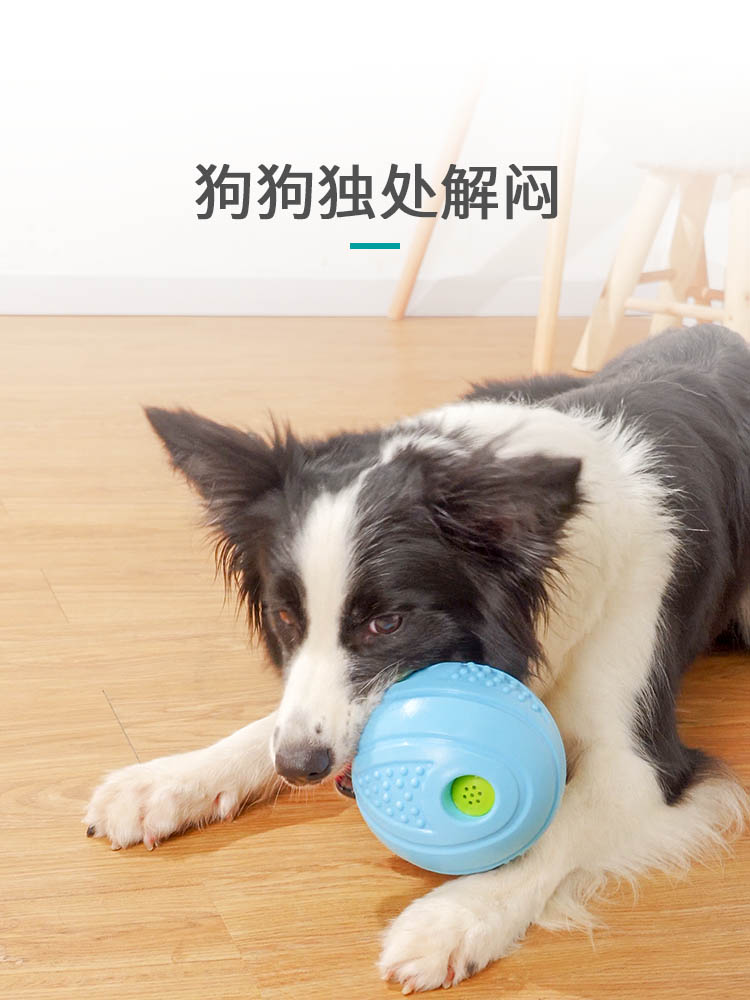 宠物狗玩具球耐咬大型犬金毛拉布拉多发声怪叫球狗狗自嗨解闷神器