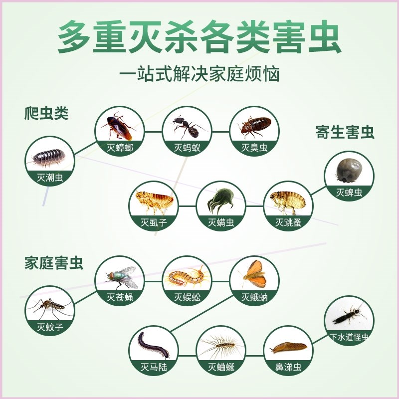 家里有小虫子蚊虫消杀室内驱避剂杀毒剂去床上小臭虫灭墙虫黑飞净-图0