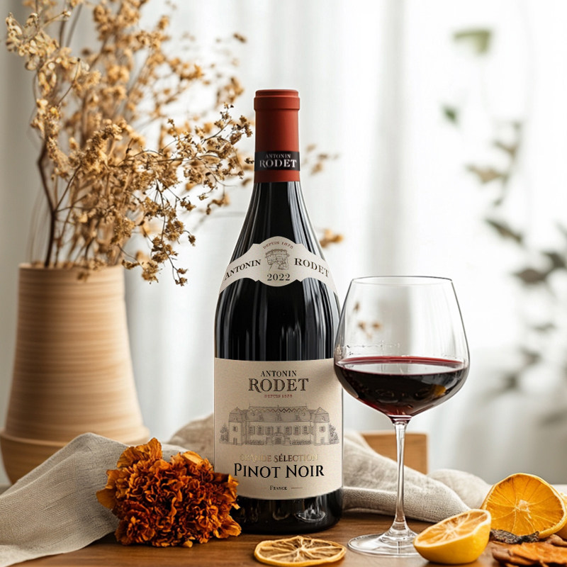 法国进口安东尼罗德勃艮第酒庄德黑皮诺干红葡萄酒750ml伴手礼盒,淘宝优惠券,粉丝福利购,淘宝优惠卷