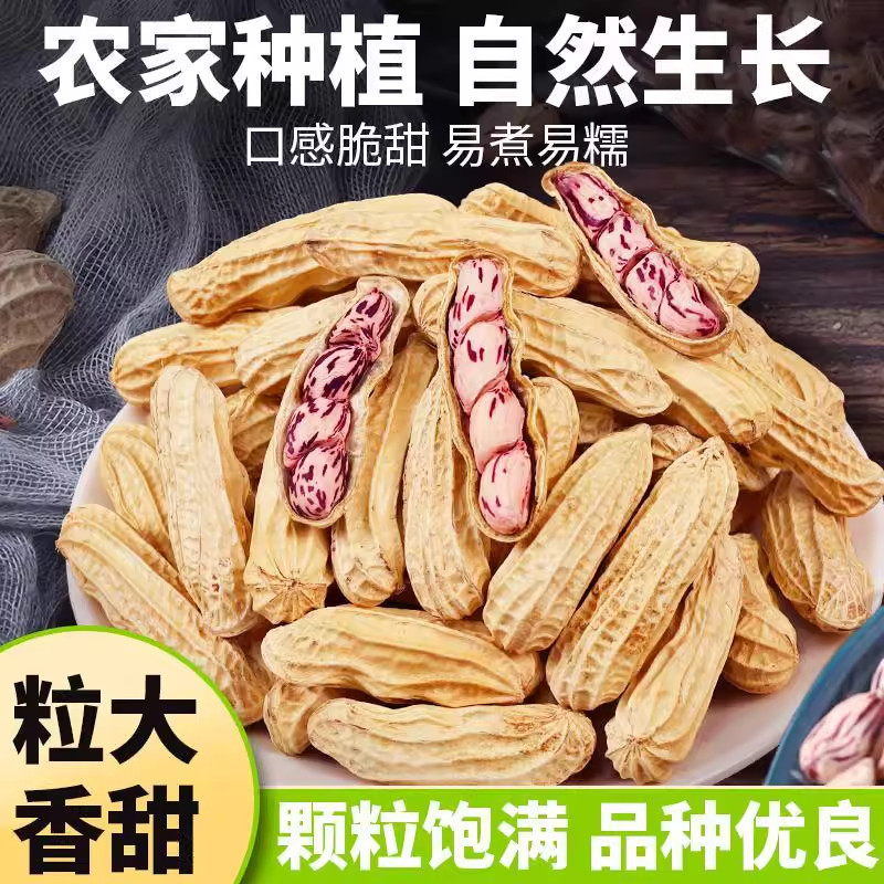 正宗龙岩七彩花生带壳熟新鲜福建特产水煮咸干零食品滋补养生炖品,淘宝优惠券,粉丝福利购,淘宝优惠卷