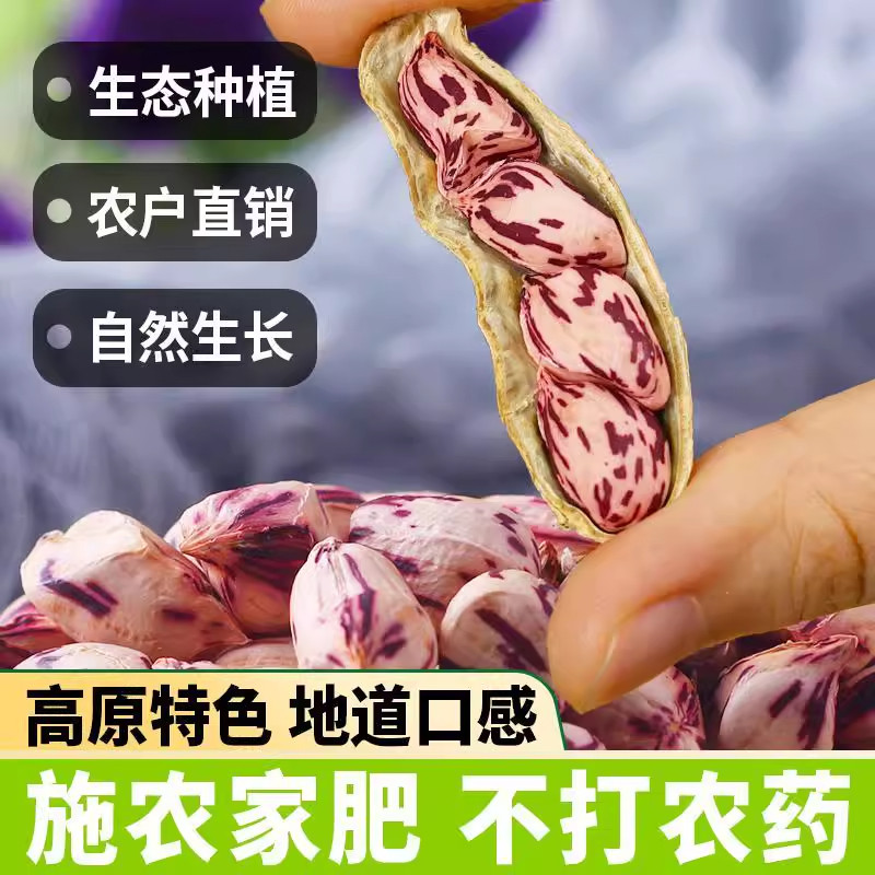 正宗龙岩七彩花生带壳熟新鲜福建特产水煮咸干零食品滋补养生炖品,淘宝优惠券,粉丝福利购,淘宝优惠卷