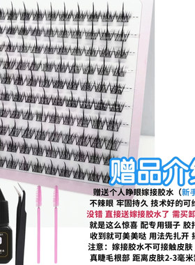 心愿同款懒人三部曲单簇假睫毛女