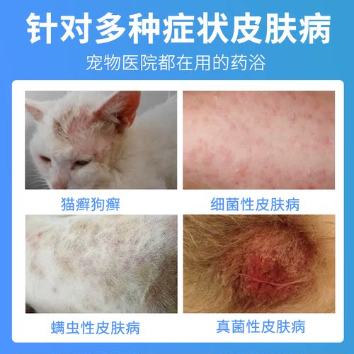 dcvet那非普皮肤病喷剂猫藓药浴宠物狗狗洗澡真菌专用猫咪沐浴露-图1