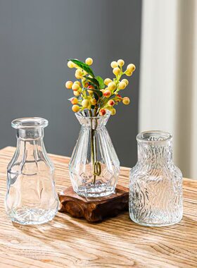 北欧精致迷你玻璃花瓶批发厂家水养鲜花装饰小花瓶高级感花器摆件