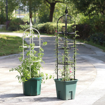 Lunar Season Climbing Rattan plant Climbing Rack Bag Plastic Steel Tube Flower Racks Iron Wire Lotus Support Rod Floating Carvines Rose Bracket