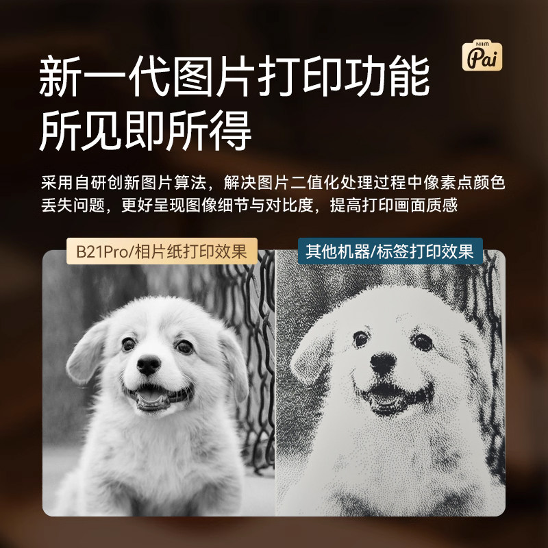 精臣B1Pro小型照片打印机可连手机黑白漫画图片相片纸小卡手帐贴纸迷你便携式蓝牙口袋高清不干胶家用标签机
