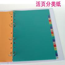 Polychrome Colour Index Archives Paper a4 loose-leaf paper 11 holes Plastics Card Classification pp labels Paper 20 Page paginated paper sepp Page