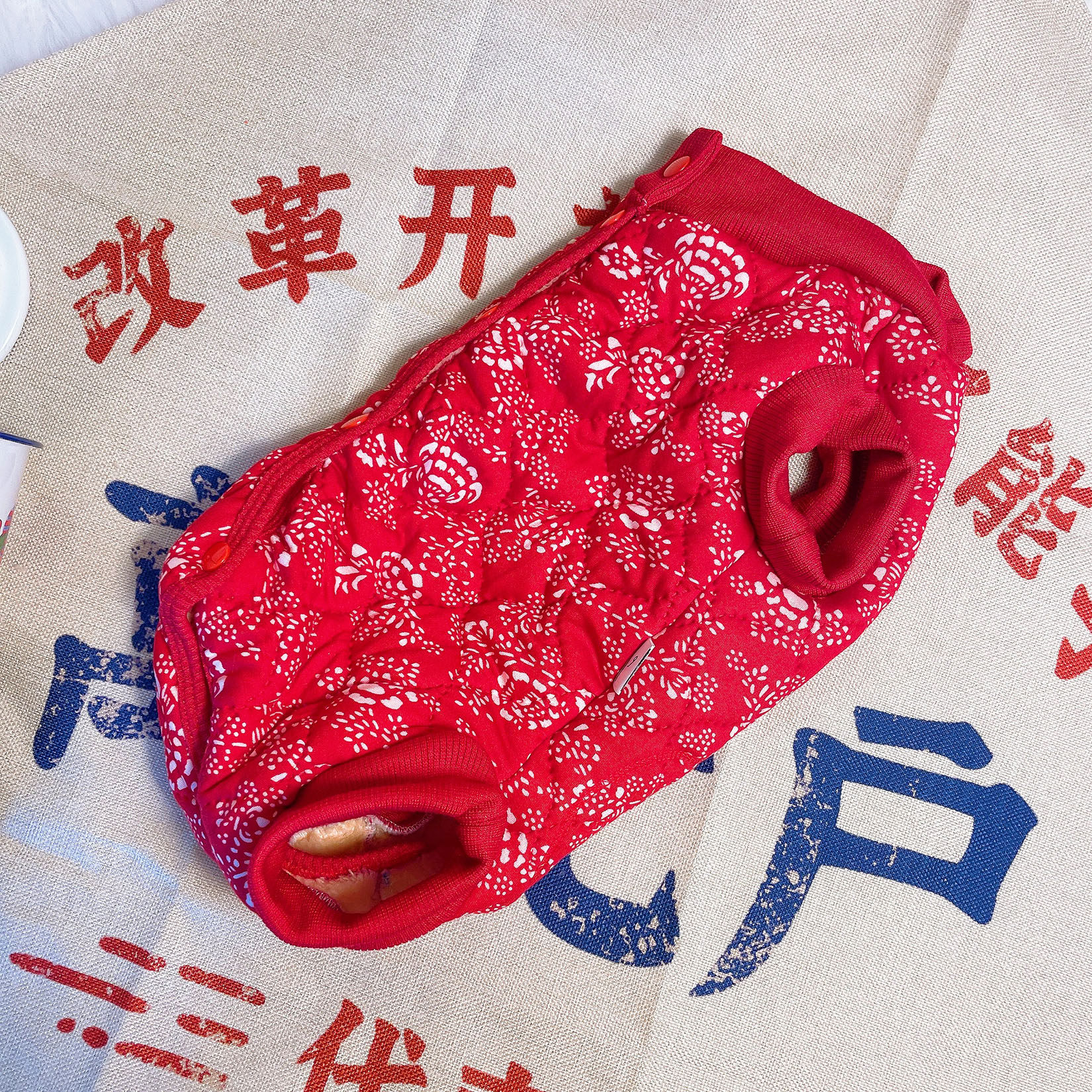 秋冬宠物包肚防着凉衣三层加厚内里加绒保暖防寒狗狗衣泰迪比熊猫,淘宝优惠券,粉丝福利购,淘宝优惠卷