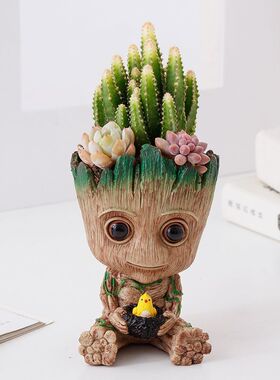 多肉植物仙人掌盆栽格鲁特仙人球办公室内桌面摆件