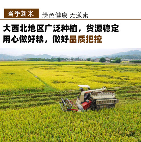 黄谷子带壳小米5斤粮食虎皮牡丹玄凤鸟粮食物鸟食小型鹦鹉鸟饲料 - 图2