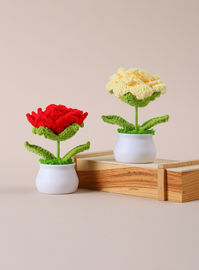 编织花高级感桌面摆设永生花礼物