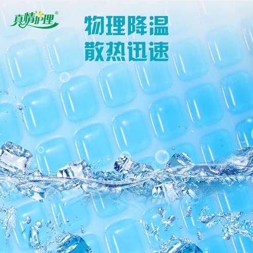 Пациенты с пожилыми пациентами в кровати парализовали медсестринские инвалидные коляски Специальная подушка против боли против рассылки на бедре