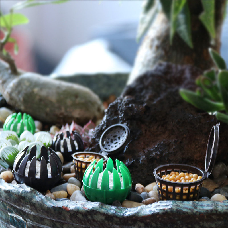 玉肥料 新人首单立减十元 21年7月 淘宝海外