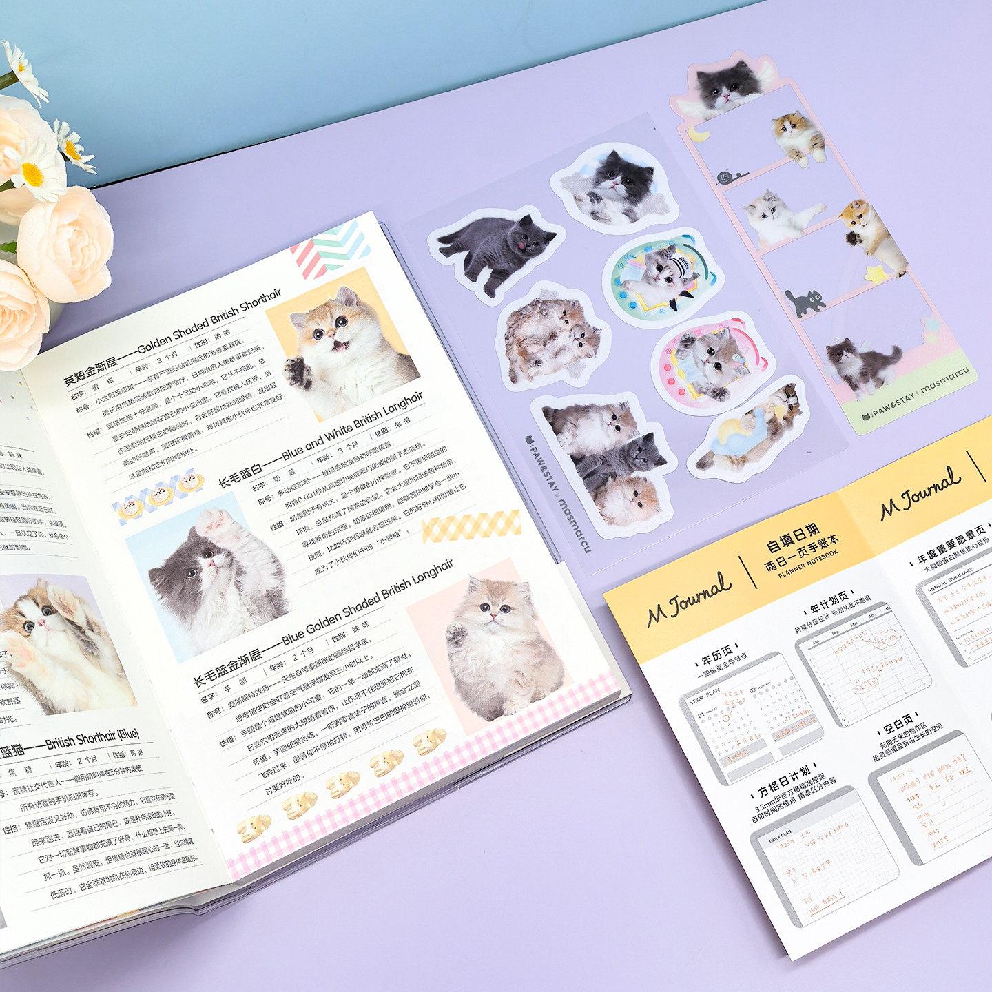 晨光 全是喵 A5奶猫胶套手账本两日一页128张彩色手账格式内页内赠贴纸透卡学生笔记本本子SN0063文具,淘宝优惠券,粉丝福利购,淘宝优惠卷