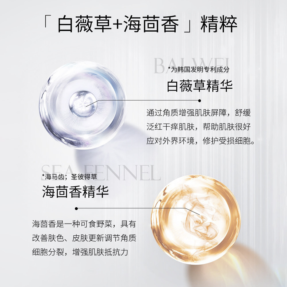 施华碧补水保湿滋润修复50g保湿霜 施华碧乳液/面霜