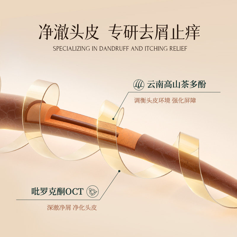【茶萃去屑】墨雪茶净去屑止痒去头屑 墨雪洗发水
