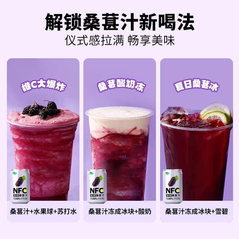 康之味NFC桑葚汁200ML*8听原榨纯果汁无添加100%鲜果蔬汁饮品整箱