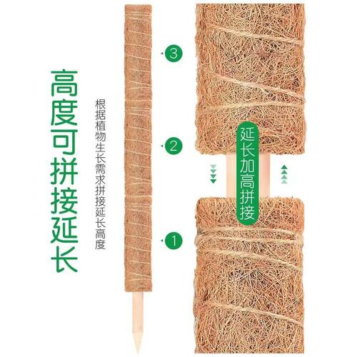 龟背竹支撑杆绿箩攀爬柱椰棕棒绿萝固定植物爬藤棕榈柱防倒花支架 - 图1