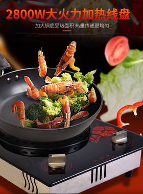 元利牌可调温炒菜多功能电热炉