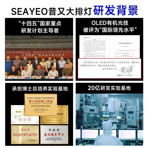 618现货 SEAYEO昔又大排灯美容仪面罩祛痘红蓝光子嫩肤仪面膜仪 - 图2