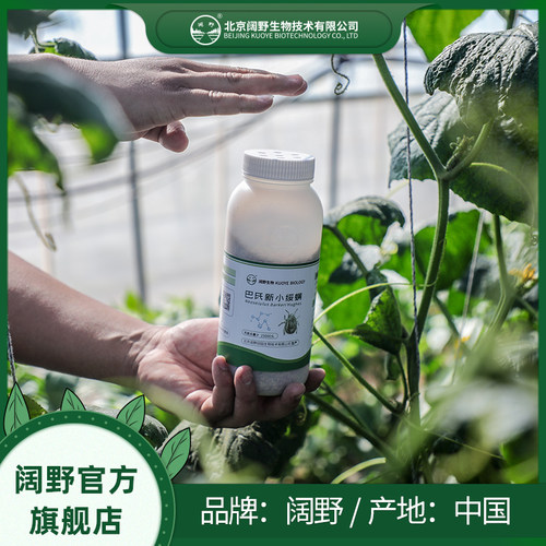 巴氏新小绥螨捕食螨活体益螨防治红蜘蛛茶黄螨及蓟马蚜虫粉虱卵害 - 图1