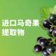 OLLY Lutein ປັບປຸງ Gummies ປົກປ້ອງຕາ