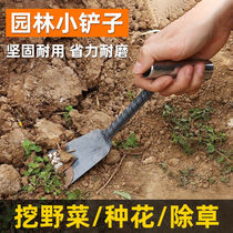 Home Dug wild vegetables small turnovers Dig Herbs Varieties of Vegetable Garden Flowers Gardening Gardening Landscaping Garden Utensils Agricultural Tools