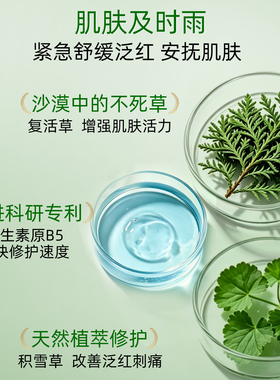 斐思妮复活草修护面膜敏肌适用
