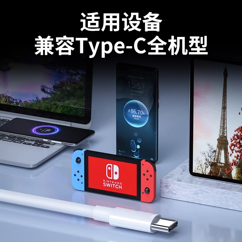 双头typec数据线tapec双pd快充tpyec适用ipad小米pro华为tpc手机车载充电器线两头苹果笔记本电脑双向cto闪充