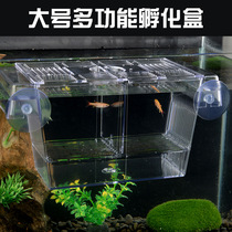 Fish tank peacock fish incubators incubators Acrylic Isolation Case Tropical Fish Hatchbox Spawning-Hopper Fish Segregation