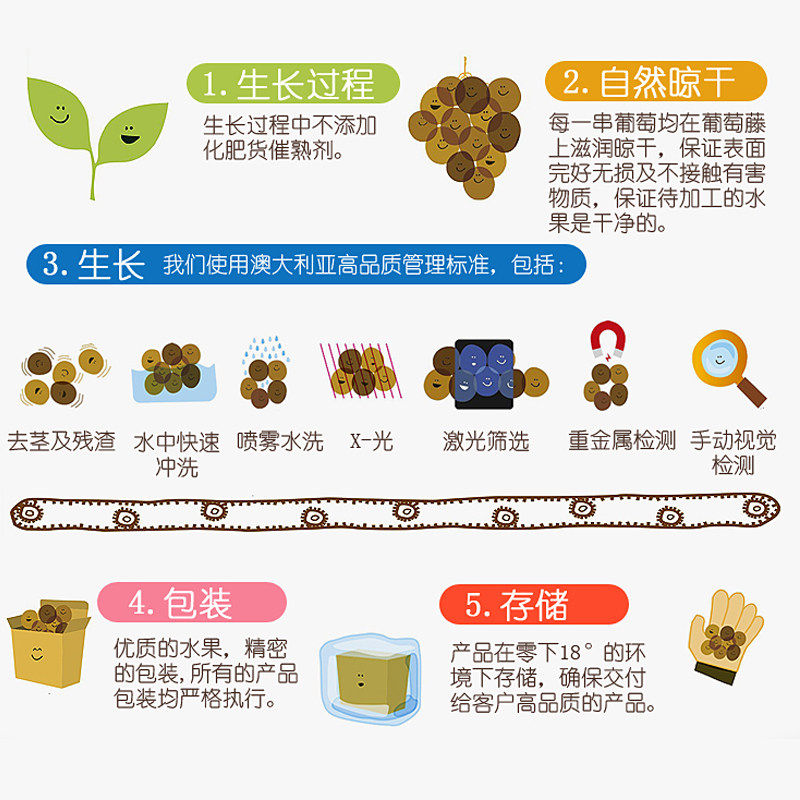 澳洲酷布gobble 100g包邮 澳脯食品葡萄干