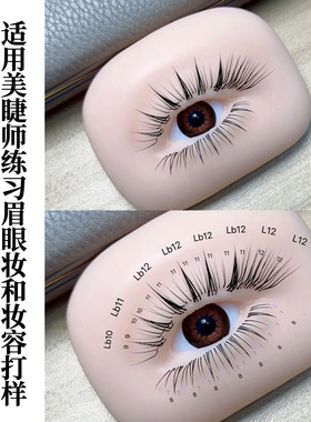 模块睫毛仿真眼模模型专用嫁接实心美睫店模特新手头模5D打版