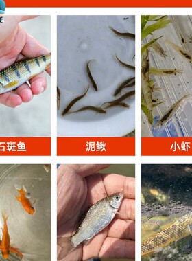 静音隔音理发消音垫尾钉工具透明调节方便垫片消音器橡胶减震垫