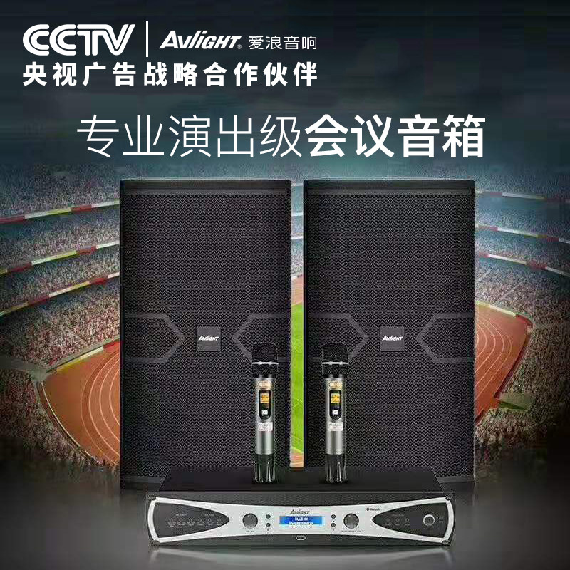 爱浪mk820-12专业演出会议高端音响 爱浪山水国际KTV/卡拉OK音箱