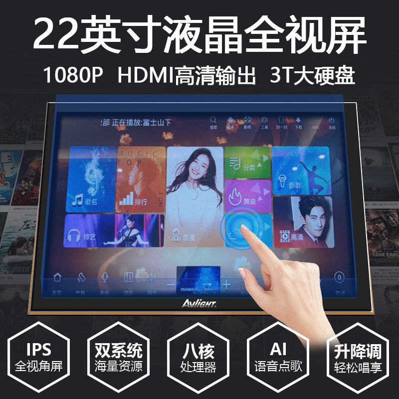 爱浪mk60家庭ktv套装全套机功放 爱浪山水国际KTV/卡拉OK音箱