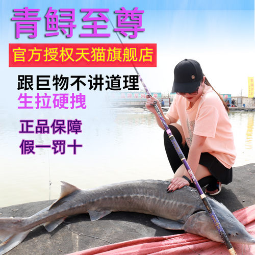 正品青鲟至尊六代钓鱼竿超硬22H19调大物巨物竿青鱼竿青鲟旗舰店 - 图0